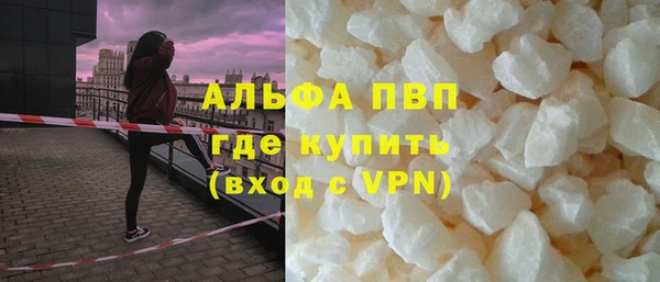 прущие грибы Липки