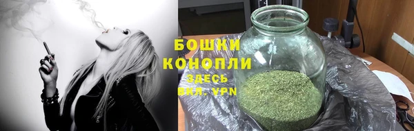 прущие грибы Липки