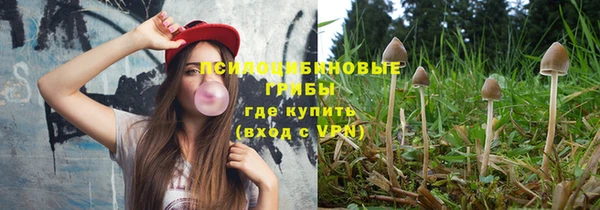 твердый Балахна