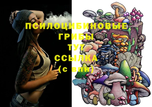твердый Балахна