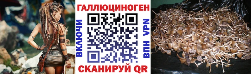 OMG маркетплейс  нарко площадка формула  Псилоцибиновые грибы Magic Shrooms  Дзержинский 