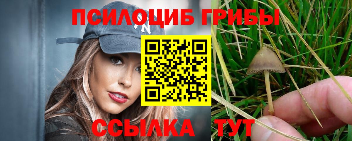 Псилоцибиновые грибы мицелий  наркошоп  Дзержинский  Вход с VPN 