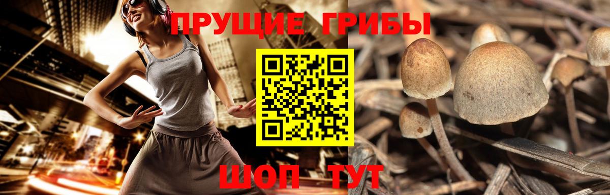 Галлюциногенные грибы мухоморы Дзержинский