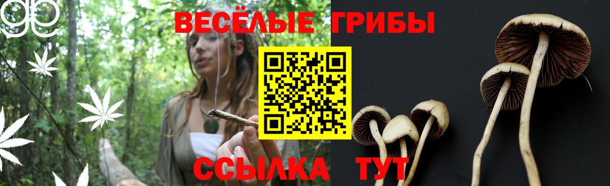 Псилоцибиновые грибы Psilocybine cubensis  Дзержинский 